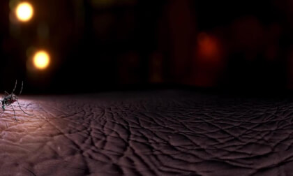 Full VR 360 4K Human Body Exploration