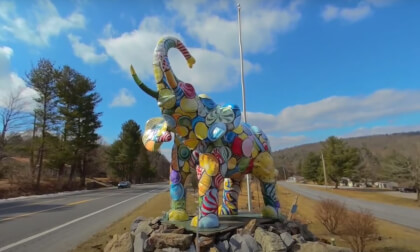Mister Ed’s Elephant Museum Tour 2022 3D 180 VR Mister Ed’s Elephant Museum Tour 2022 3D 180 VR