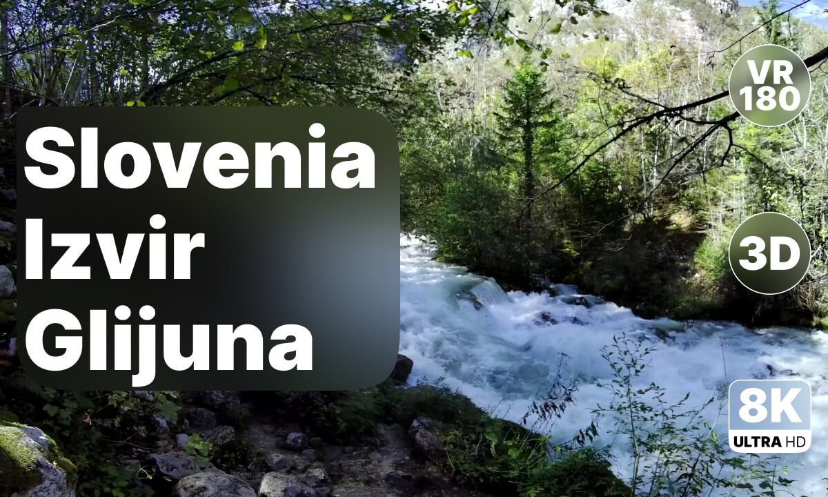Slovenia Izvir Glijuna - Forest Spring Walk 8K 180 3D
