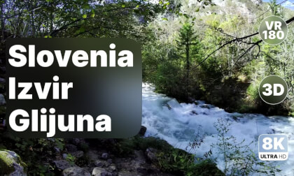 Slovenia Izvir Glijuna - Forest Spring Walk 8K 180 3D