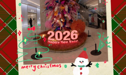 Christmas Life Snippets