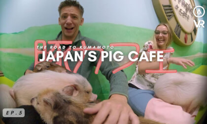 Cuddling Pigs in Japan's Cutest Cafe |  Japan in VR 180