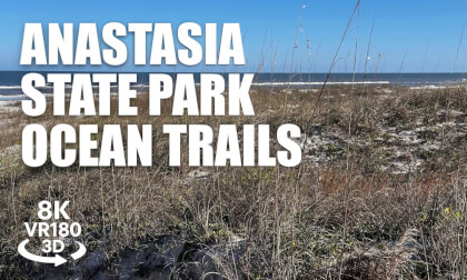 Anastasia State Park Atlantic Ocean Trail VR180 8K 3D Beach Boardwalk, Dunes, Waves | VR视频 3D動画 VR旅行