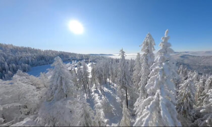 snow flite
