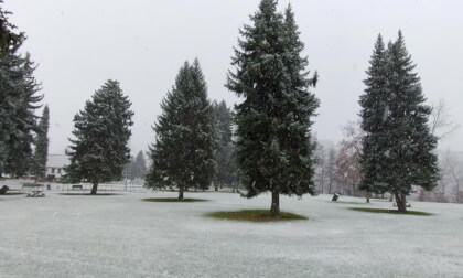 First Snowfall of the Year (test)