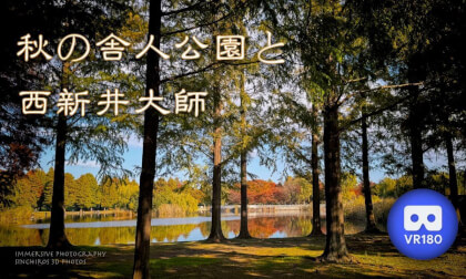 Autumn in Toneri Park and Nishiaraidaishi