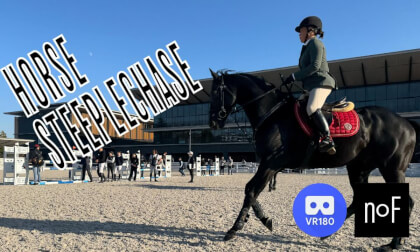 If you where here. Hose SteplechaseSteplechase with English subtitles.