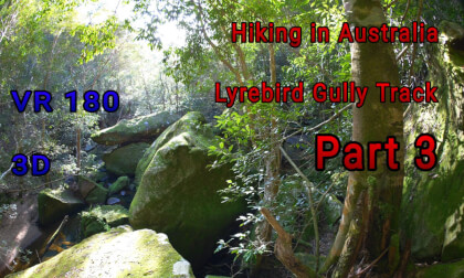 Lyrebird Gully Track part 3, Hiking VR Video Lyrebird Gully Track part 3, Hiking VR