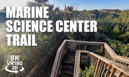 Marine Science Center Nature Trail VR180 8K 3D | Boardwalk, Tower, Ocean Views | VR视频 3D動画 VR旅行