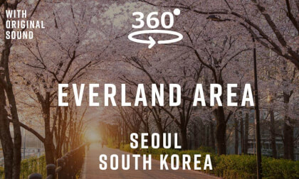Everland Area – Seoul, South Korea 🇰🇷 | 360° Walking Tour | Original Sound