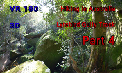 Lyrebird Gully Track part 4, Hiking VR Video Lyrebird Gully Track part 4, Hiking VR