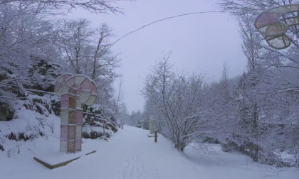 Walk during snowfall at "Camí de Ferro" near Llorts, Andorra