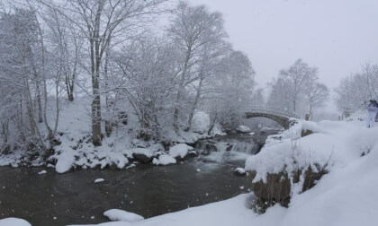 Valira del Nord River under heavy snowfall near Llorts, Andorra