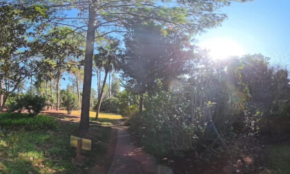 8K VR 360  Garden Tour  Alfred B  Maclay Gardens State Park [2]