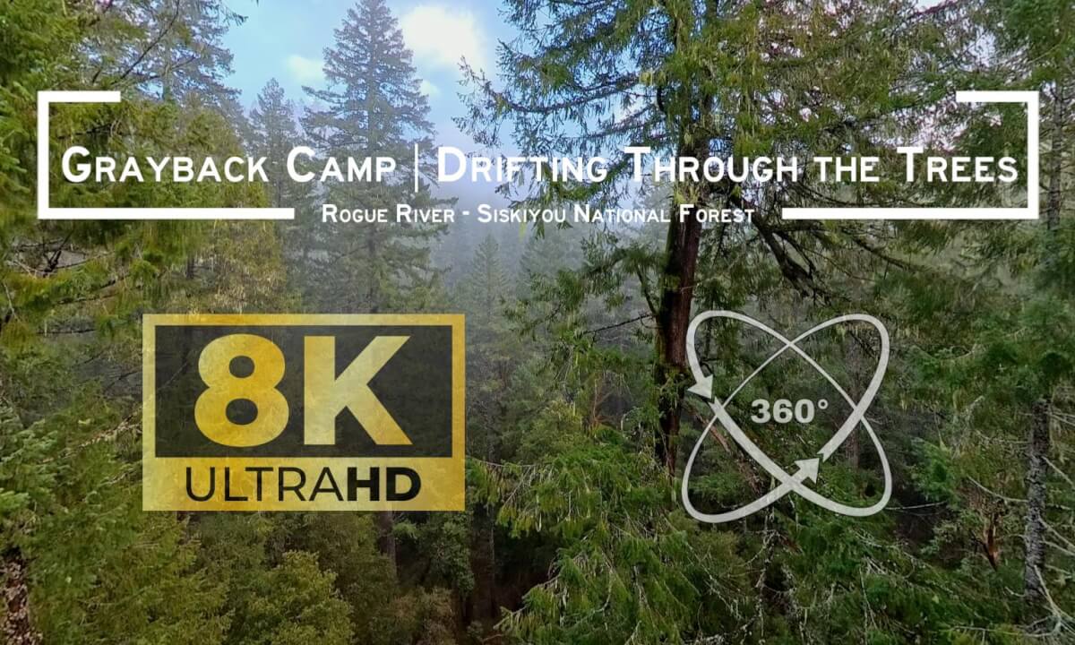 Antigravity A1 Invisible Drone | Grayback Camp - Drifting through the trees (non-premium)