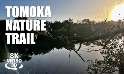Tomoka Outpost & Nature Trail Sunrise VR180 8K 3D River Dawn, Gardens, Boat Dock | VR视频 8K 3D動画 VR旅行