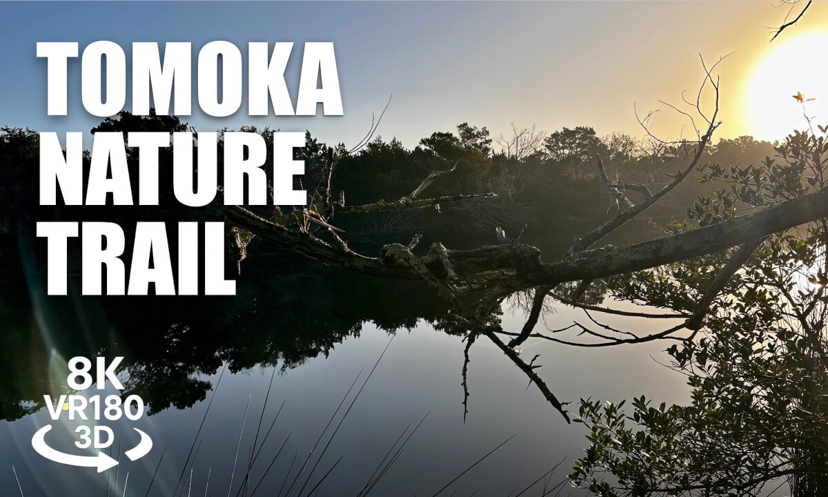 Tomoka Outpost & Nature Trail Sunrise VR180 8K 3D River Dawn, Gardens, Boat Dock | VR视频 8K 3D動画 VR旅行
