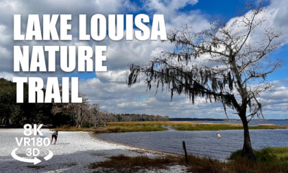 Lake Louisa State Park Nature Trail VR180 8K 3D Wilderness, Dunes, Lake Views | VR视频 8K 3D動画 VR旅行
