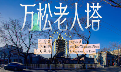 万松老人塔 时间的丰碑 Pagoda of the Ten-Thousand Pines A Monument to Time