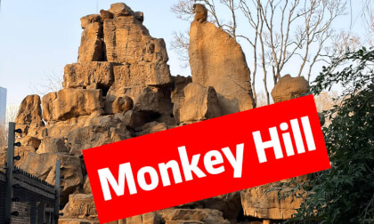 Monkey Hill