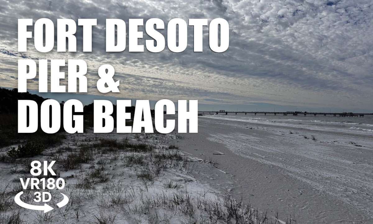 Fort De Soto Bay Fishing Pier & Dog Beach VR180 8K 3D | Tampa Bay Coastal Walk | VR视频 8K 3D動画 VR旅行