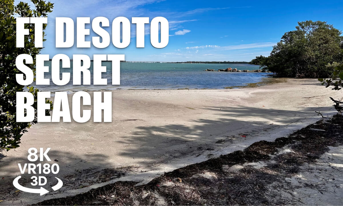 Fort De Soto Arrowhead Bay Walk VR180 8K 3D Secret Beach, Mangrove Tunnels, Tampa Bay VR视频 3D動画 VR旅行