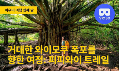 [VR180 8K] 마우이 여행 Day 3: 거대한 폭포를 향한 여정과 와일레아의 완벽한 휴식