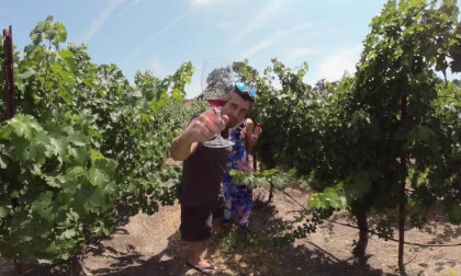 Paso Robles Wine Country