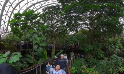 20251230_台北市立動物園鳥類與昆蟲溫室360_169