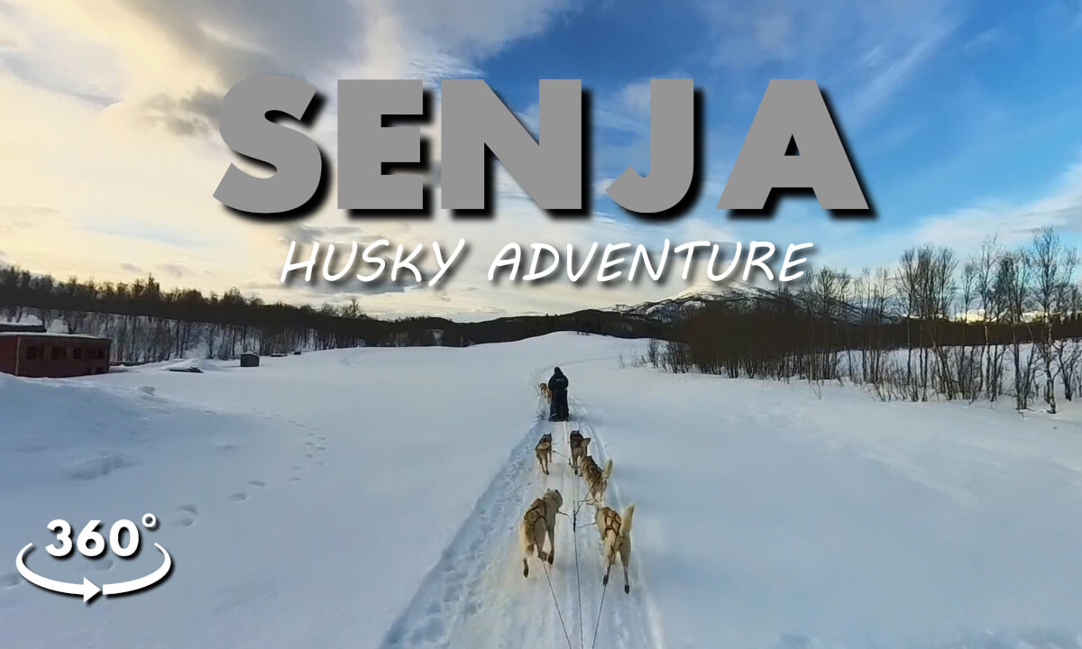 Senja - 360° Husky Adventure / Norway