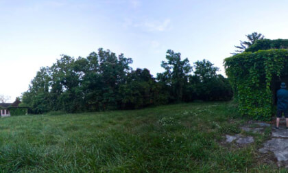 Abandoned Summer Camp