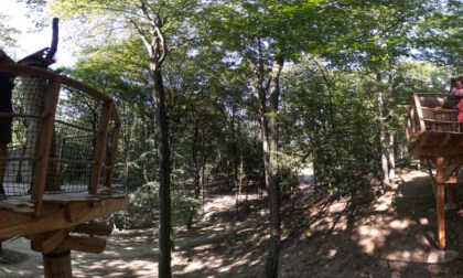 Treehouse Resort