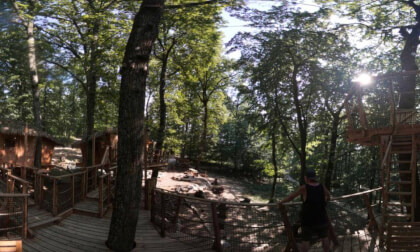 Treehouse
