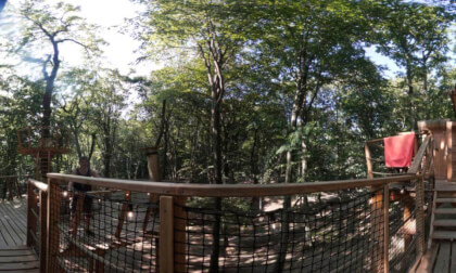 Treehouse