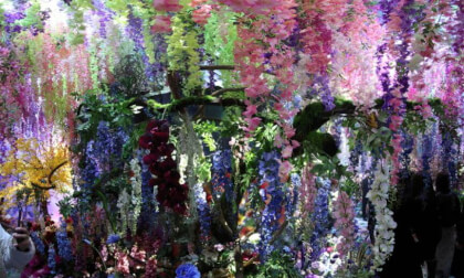 蜷川実花展 Eternity in a Moment 02