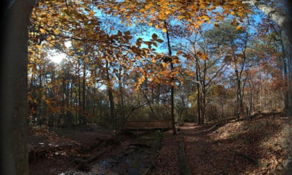 SLAM XCAM - Peaceful Fall Morning, Sandy Springs GA (1)