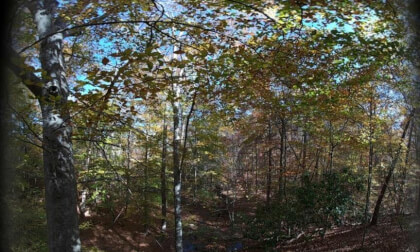 SLAM XCAM - Peaceful Fall Morning, Sandy Springs GA (2)