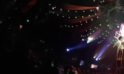 some shots from the vegas show absinth  3