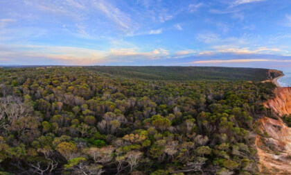 360 Pano - Bells Beach - Sunrise 2