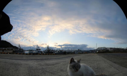 218random collection(00218)