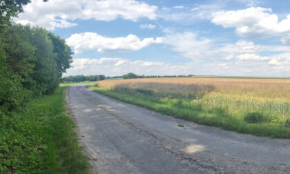 Pole,příroda