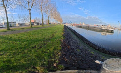Heijtplaat 05 2026-01-18.jpg