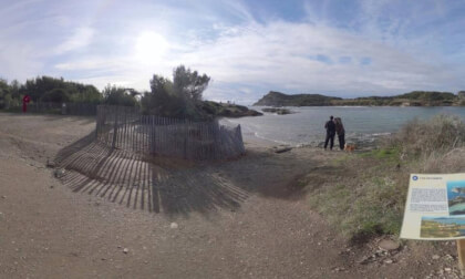 Presqu'île du Gaou, face à l'ïle des Embiez