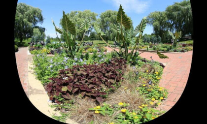 Chicago Botanic Garden