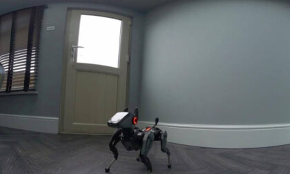 robot dog