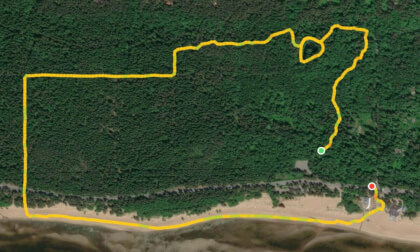 VRGO Route Map — Forest & Snow Beach — Advanced 37 min