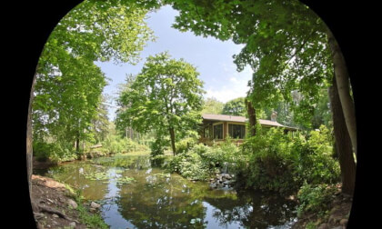 The Pond