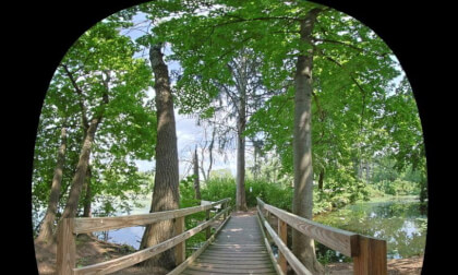 Bridge
