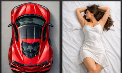 Curves are similar.