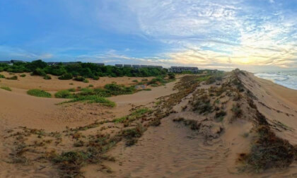 360° Sunrise: Where the Jungle Meets the Indian Ocean (Yala, Sri Lanka) 🐆🌊